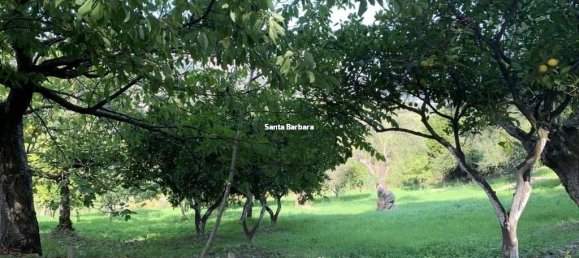 1 room Land in Maierato, Italy No. 310935 2