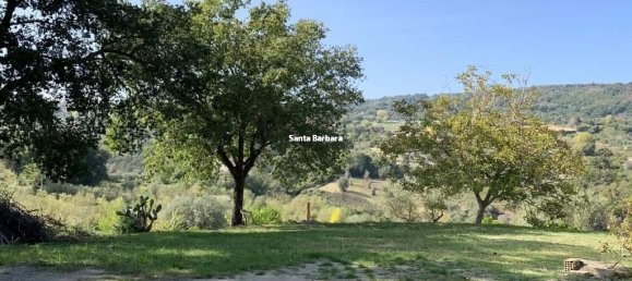 1 room Land in Maierato, Italy No. 310935 6