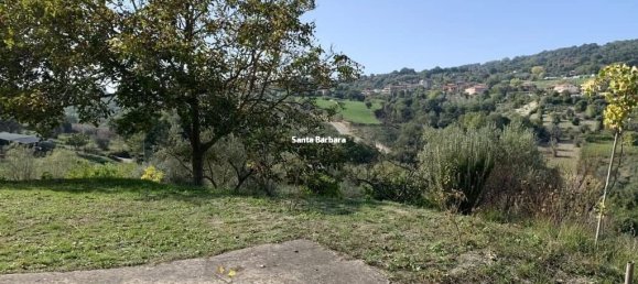1 room Land in Maierato, Italy No. 310935 8