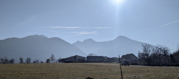  Land in Scharnstein, Austria No. 156057 6