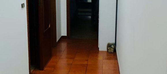 4 rooms Apartment in Belvedere Marittimo, Italy No. 180140 4