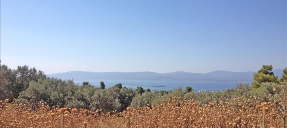 11 غرف نوم عقار تجاري في Euboea, Greece رقم 7745 10