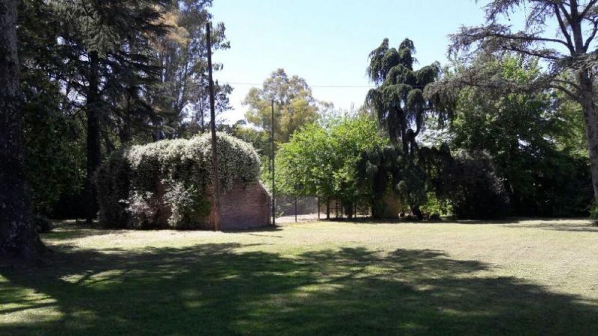 Terreno em San Miguel, Argentina N.º 45723