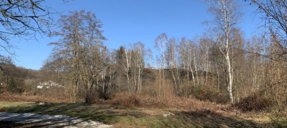 1500m² Land in Ronchamp, France No. 106667 4