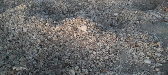 Villa T3 em Sanibel, USA N.º 227 26