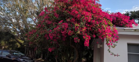 Villa T3 em Sanibel, USA N.º 227 25