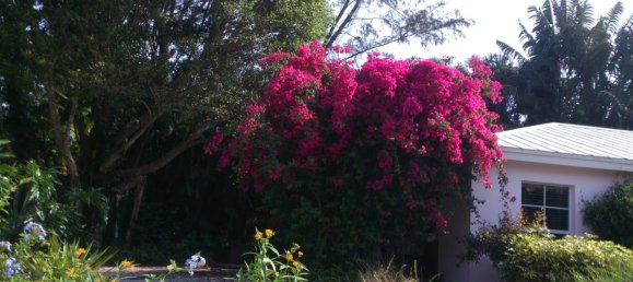 Villa T3 em Sanibel, USA N.º 227 30