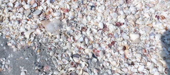 Villa T3 em Sanibel, USA N.º 227 29