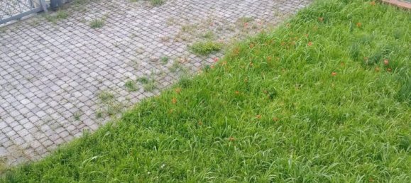 4-Zimmer Haus in Carrara, Italy, Nr. 48092 20