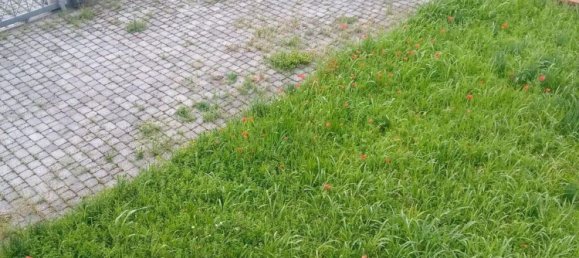 4-Zimmer Haus in Carrara, Italy, Nr. 48092 9