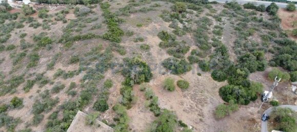 Grundstück in Ferreiras, Portugal 20060m², Nr. 59960 8