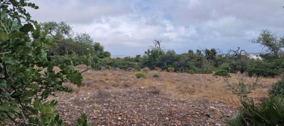 Grundstück in Ferreiras, Portugal 20060m², Nr. 59960 2