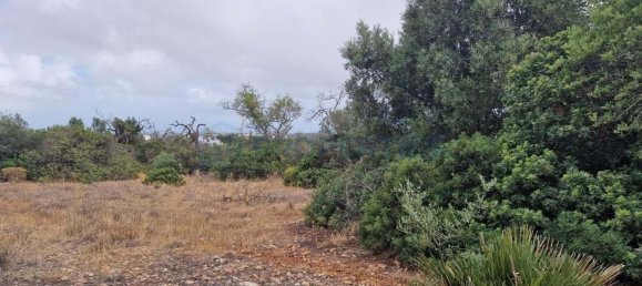 Grundstück in Ferreiras, Portugal 20060m², Nr. 59960 3