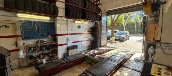 1 room Commercial property in Rome, Italy No. 353962 5