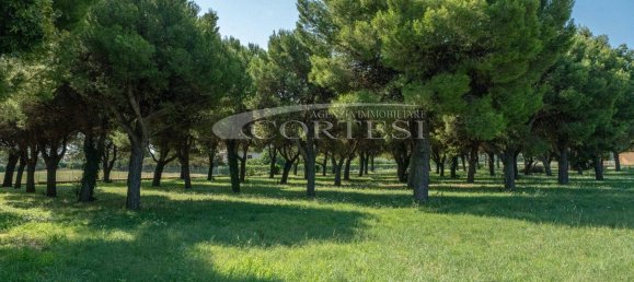 8 غرف نوم شقة في Mondolfo, Italy رقم 320316 25