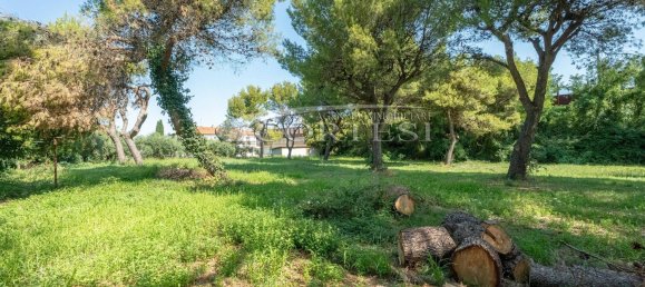 8 غرف نوم شقة في Mondolfo, Italy رقم 320316 27