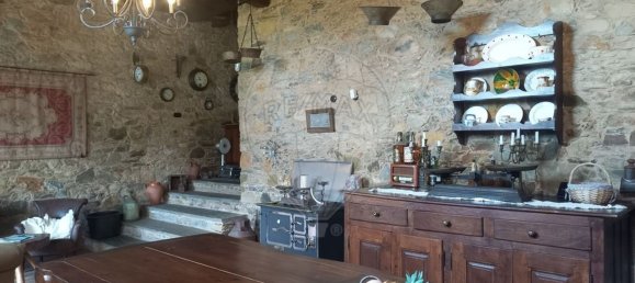 7 Schlafzimmer Haus in Alvares, Portugal, Nr. 32871 27