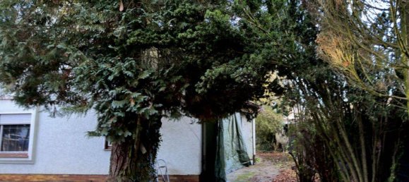 Casa de 6 divisões em Muhldorf am Inn, Germany N.º 207542 8