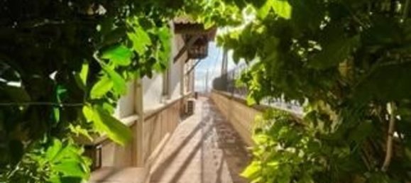 Casa T11 em Palma de Majorca, Spain N.º 72064 22