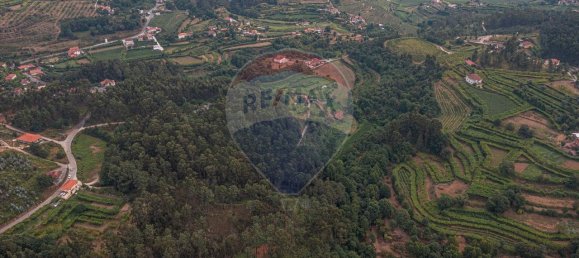 1 bedroom House in Felgueiras, Portugal No. 20885 4