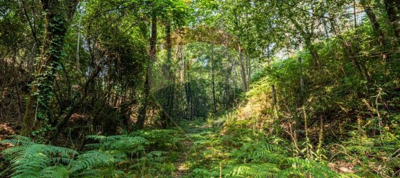 1 bedroom House in Felgueiras, Portugal No. 20885 27