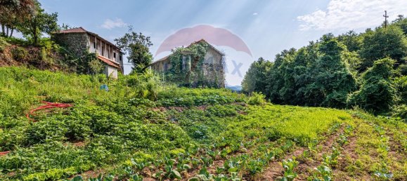 1 bedroom House in Felgueiras, Portugal No. 20885 9