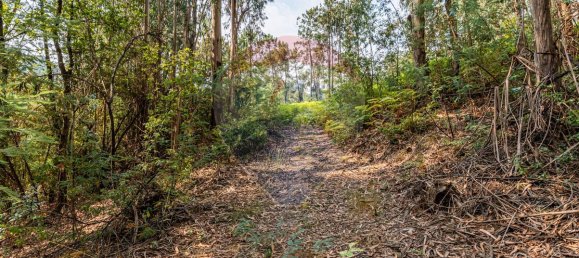 1 bedroom House in Felgueiras, Portugal No. 20885 20