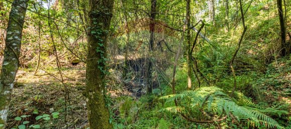 1 bedroom House in Felgueiras, Portugal No. 20885 25