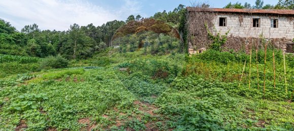 1 bedroom House in Felgueiras, Portugal No. 20885 10