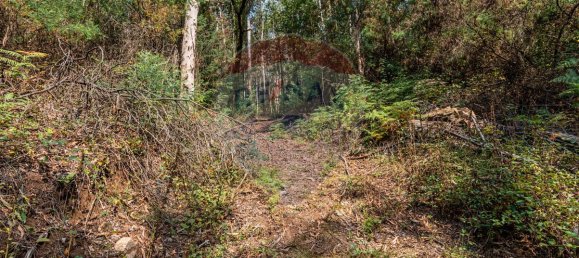 1 bedroom House in Felgueiras, Portugal No. 20885 28