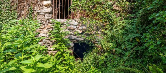 1 bedroom House in Felgueiras, Portugal No. 20885 14