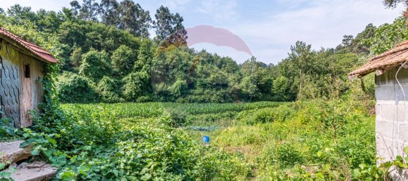 1 bedroom House in Felgueiras, Portugal No. 20885 7