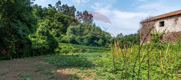 1 bedroom House in Felgueiras, Portugal No. 20885 13