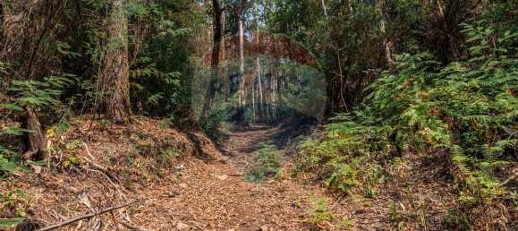 1 bedroom House in Felgueiras, Portugal No. 20885 29