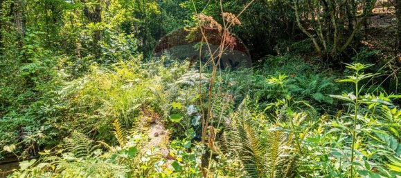 1 bedroom House in Felgueiras, Portugal No. 20885 22