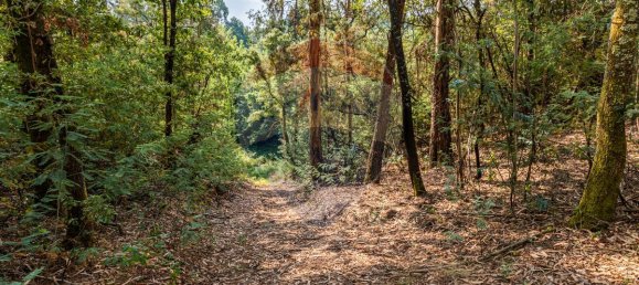 1 bedroom House in Felgueiras, Portugal No. 20885 19