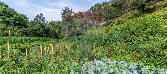 1 bedroom House in Felgueiras, Portugal No. 20885 8