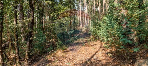 1 bedroom House in Felgueiras, Portugal No. 20885 18