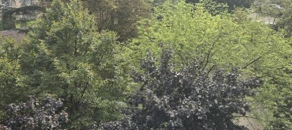 2 bedrooms Apartment in Rhone, France No. 333497 9