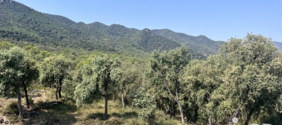 Apartamento en Artana, Spain 480 m² No. 292763 3