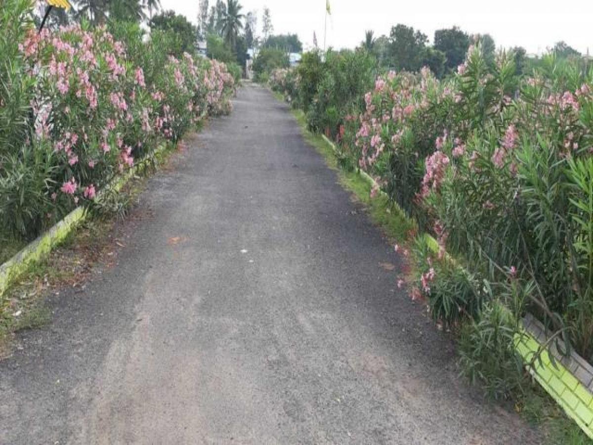 Grundstück in Chennai, India, Nr. 40130