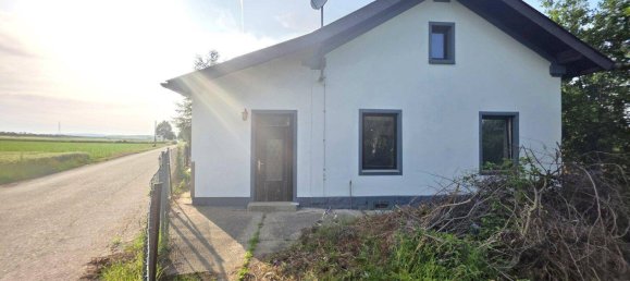 6-salle Maison de ville à Ziersdorf, Austria No. 236846 24