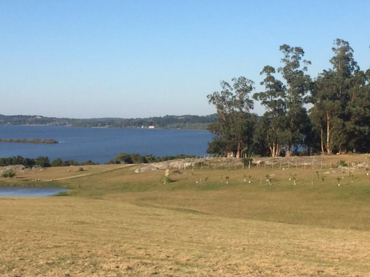 Bauernhof in Maldonado, Uruguay, Nr. 15947