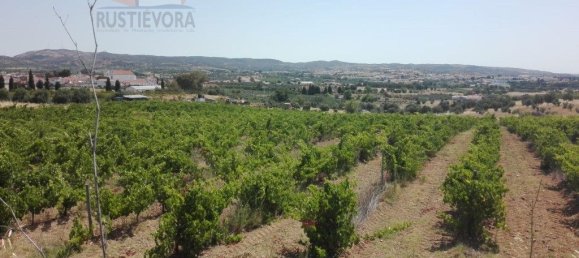 15800m² Land in Vila de Frades, Portugal No. 30830 2