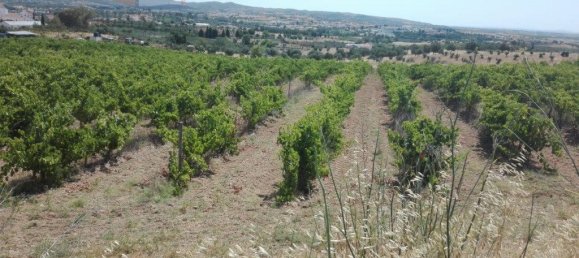 15800m² Land in Vila de Frades, Portugal No. 30830 5