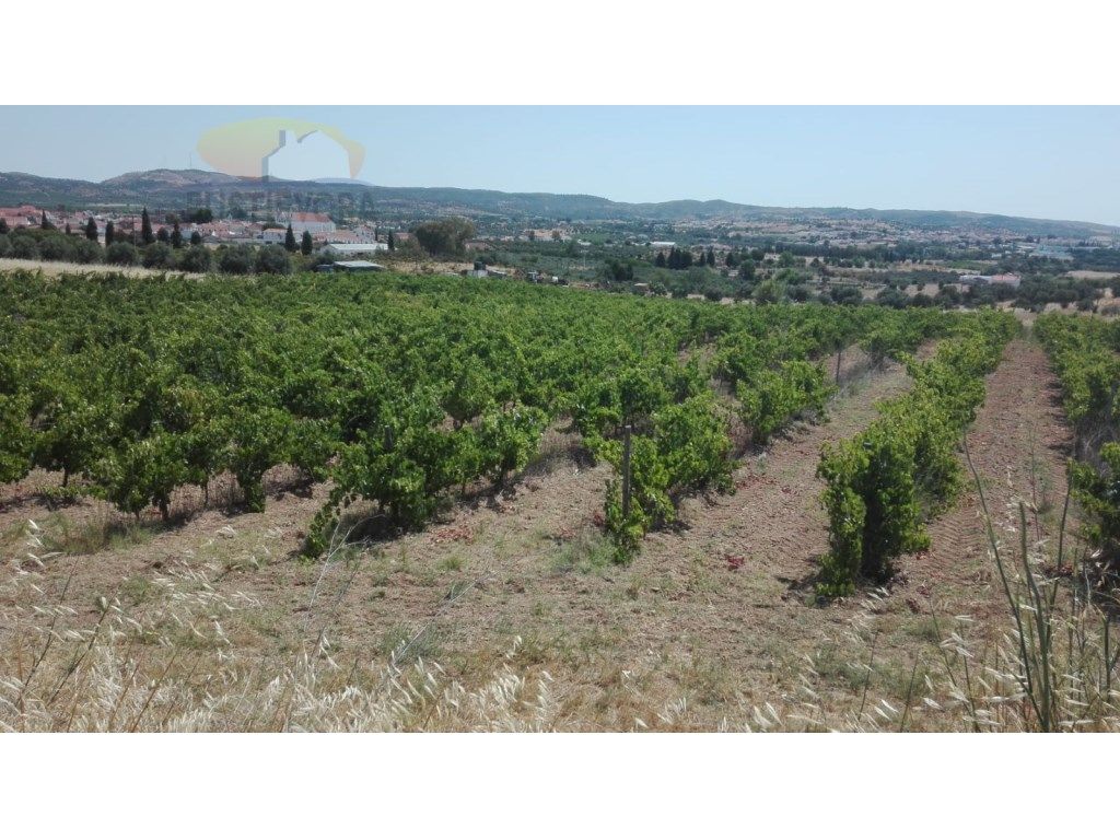 15800m² Land in Vila de Frades, Portugal No. 30830