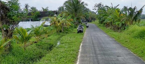  قطعة أرض في Tabanan, Indonesia 2100متر مربع رقم 4459 3