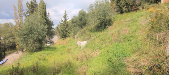 4 bedrooms Townhouse in Corfu, Greece No. 3981 28