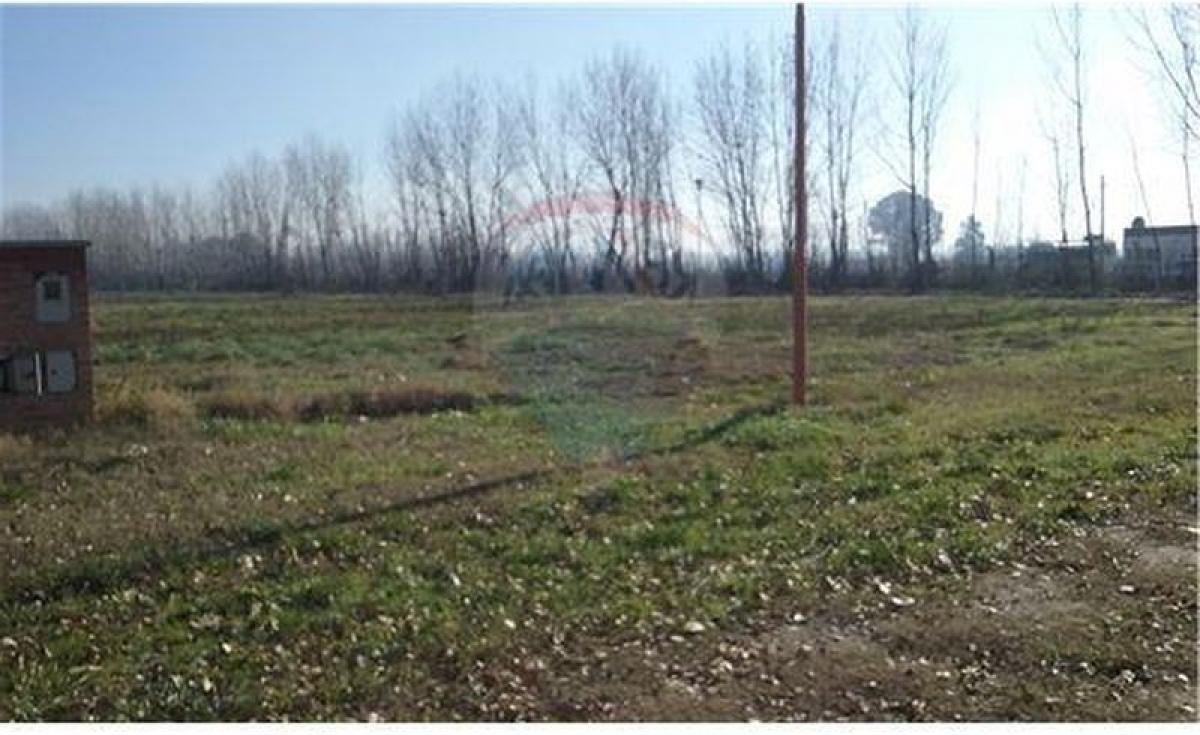  Land in Rio Negro, Argentina No. 45272