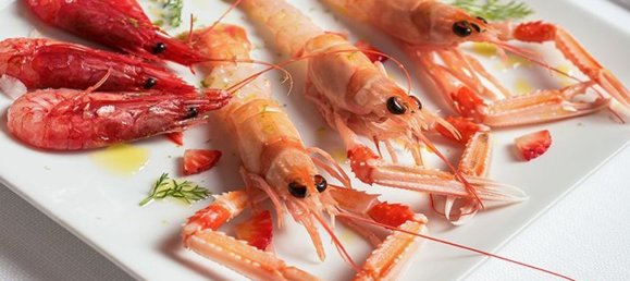 216m² Commercial property in Anzola dell'Emilia, Italy No. 80602 6